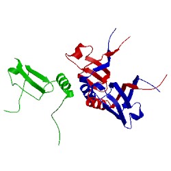 Image of CATH 4cmz