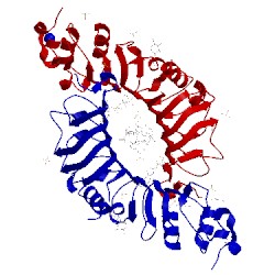 Image of CATH 4cnc
