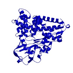 Image of CATH 4cp4