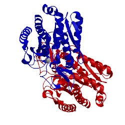 Image of CATH 4cpa