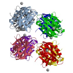 Image of CATH 4cq1