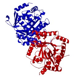 Image of CATH 4cqa