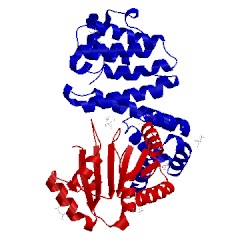 Image of CATH 4crw