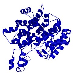 Image of CATH 4csc