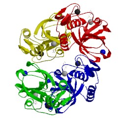 Image of CATH 4csh