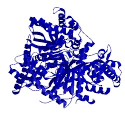 Image of CATH 4cto