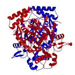 Image of CATH 4ctu