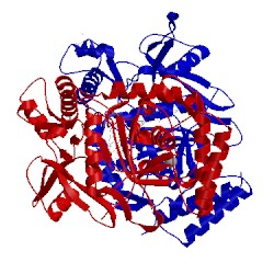 Image of CATH 4cu1