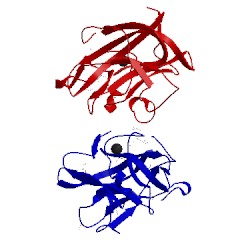 Image of CATH 4cua