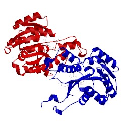 Image of CATH 4cv2