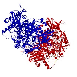 Image of CATH 4cvw