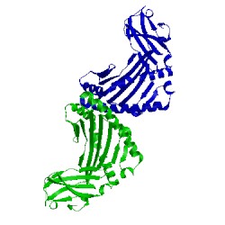 Image of CATH 4cvx