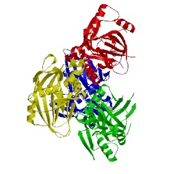 Image of CATH 4cvy