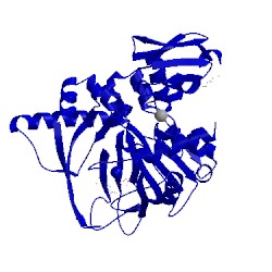 Image of CATH 4cwd