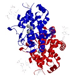 Image of CATH 4cwm
