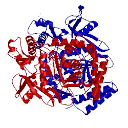 Image of CATH 4cx1