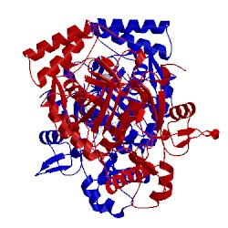 Image of CATH 4cx4