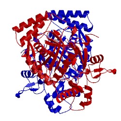 Image of CATH 4cx5