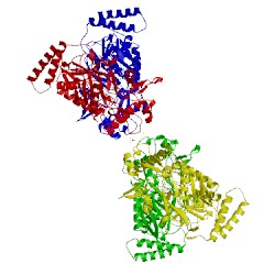 Image of CATH 4cx7