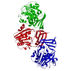 Image of CATH 4cxm
