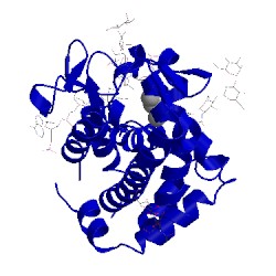 Image of CATH 4cxo