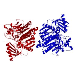 Image of CATH 4cxu