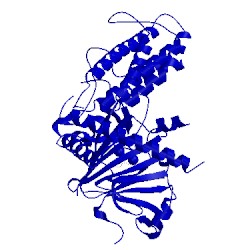 Image of CATH 4cxy