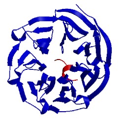 Image of CATH 4cy5