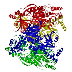 Image of CATH 4cy6