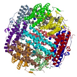 Image of CATH 4cyb
