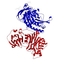 Image of CATH 4cyf