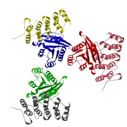 Image of CATH 4cym