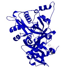 Image of CATH 4cyq