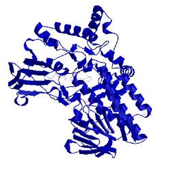 Image of CATH 4d03