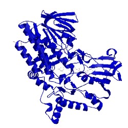 Image of CATH 4d04