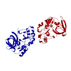 Image of CATH 4d05