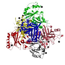 Image of CATH 4d06