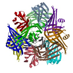 Image of CATH 4d1f