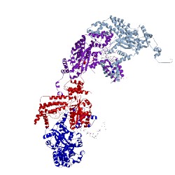 Image of CATH 4d1q