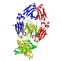Image of CATH 4d2n