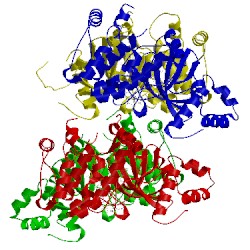 Image of CATH 4d2p