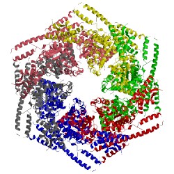 Image of CATH 4d2q