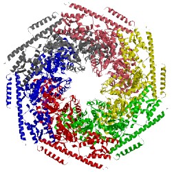 Image of CATH 4d2u