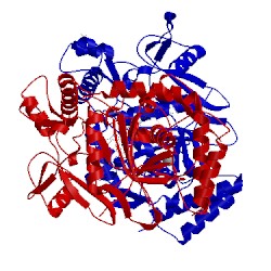 Image of CATH 4d33