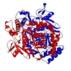 Image of CATH 4d34