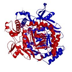 Image of CATH 4d35