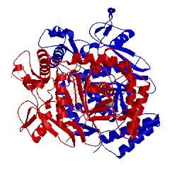 Image of CATH 4d38