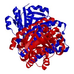 Image of CATH 4d3d