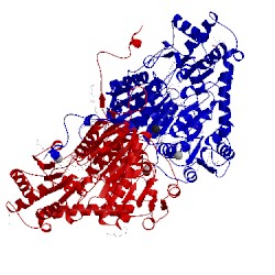 Image of CATH 4d5e