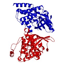 Image of CATH 4d5h